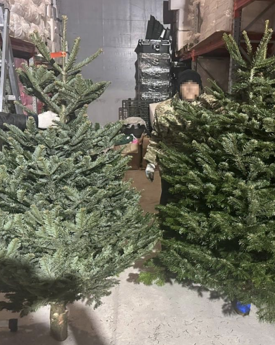 Из новогодней ёлки выползли клещи: как сказка стала кошмаром в квартире москвича