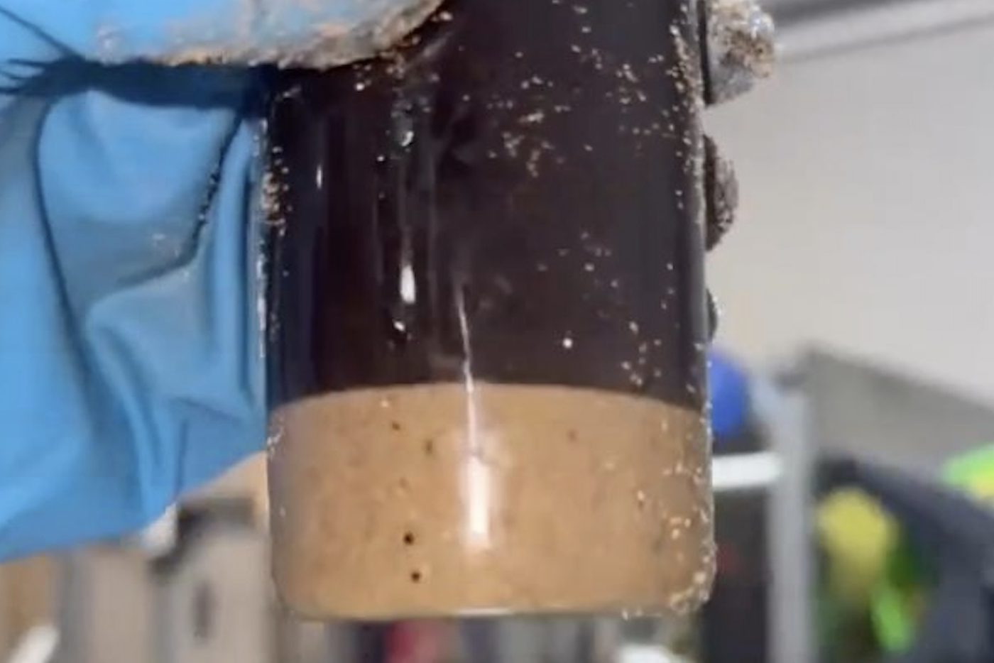 Очистить пляжи Анапы от разлившегося мазута поможет изобретение химиков из Краснодарского края