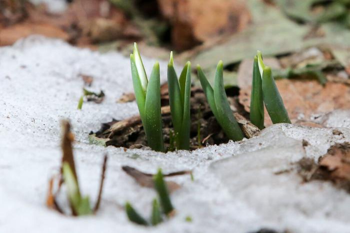 "Традиционной зимы в Москве уже не будет": синоптик рассказал, чего ждать от погоды в ближайшие месяцы