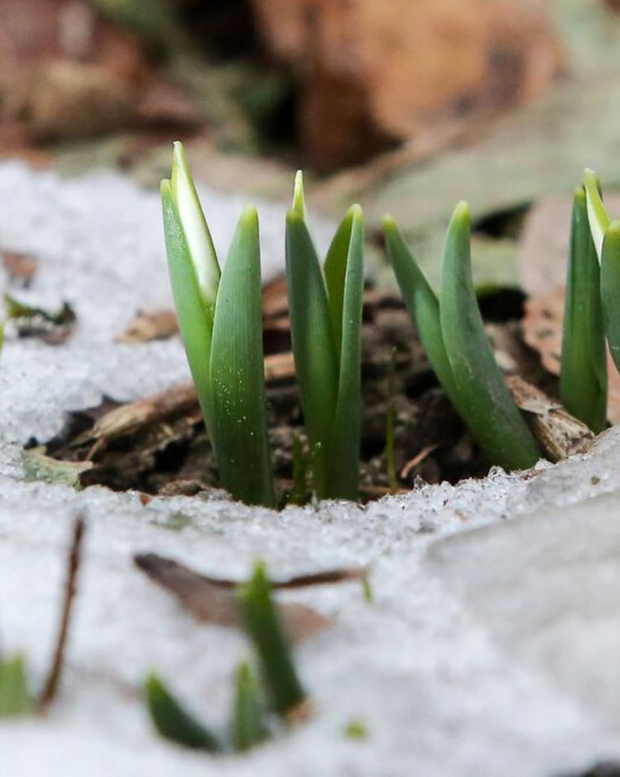 "Традиционной зимы в Москве уже не будет": синоптик рассказал, чего ждать от погоды в ближайшие месяцы