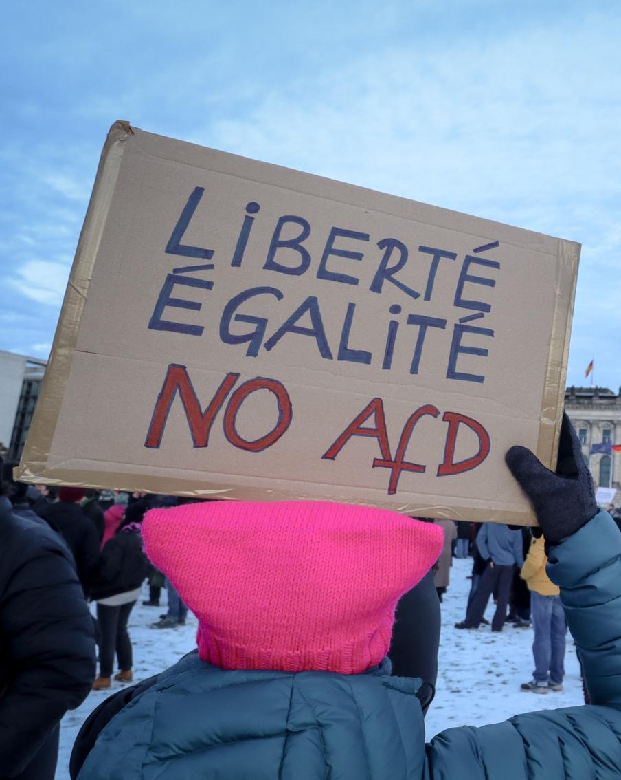 Массовые акции протеста против "Альтернативы для Германии" охватили немецкие города