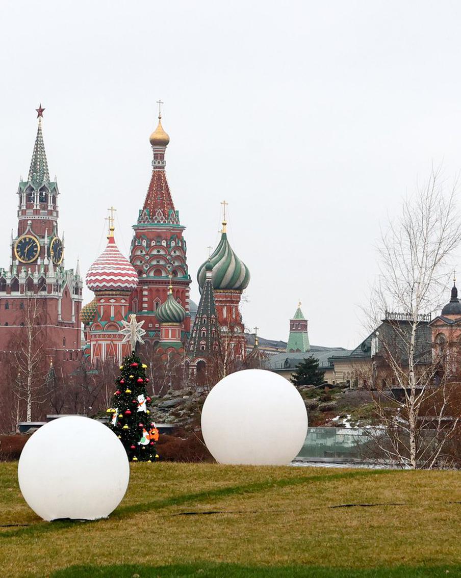 Погода бьёт рекорды – проснулись медведи, расцвели подснежники: к чему приведёт потепление В Москве