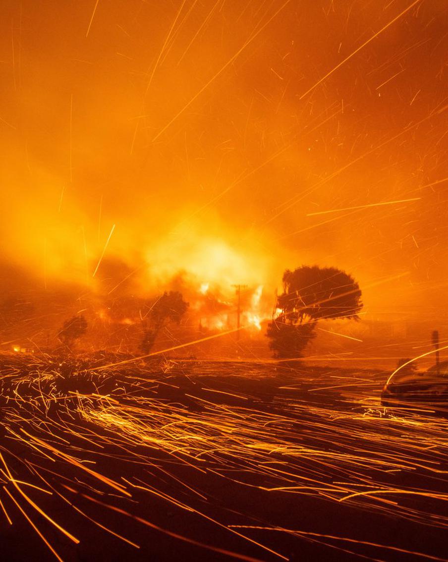 Лесные пожары в Калифорнии возникли из-за изменения климата