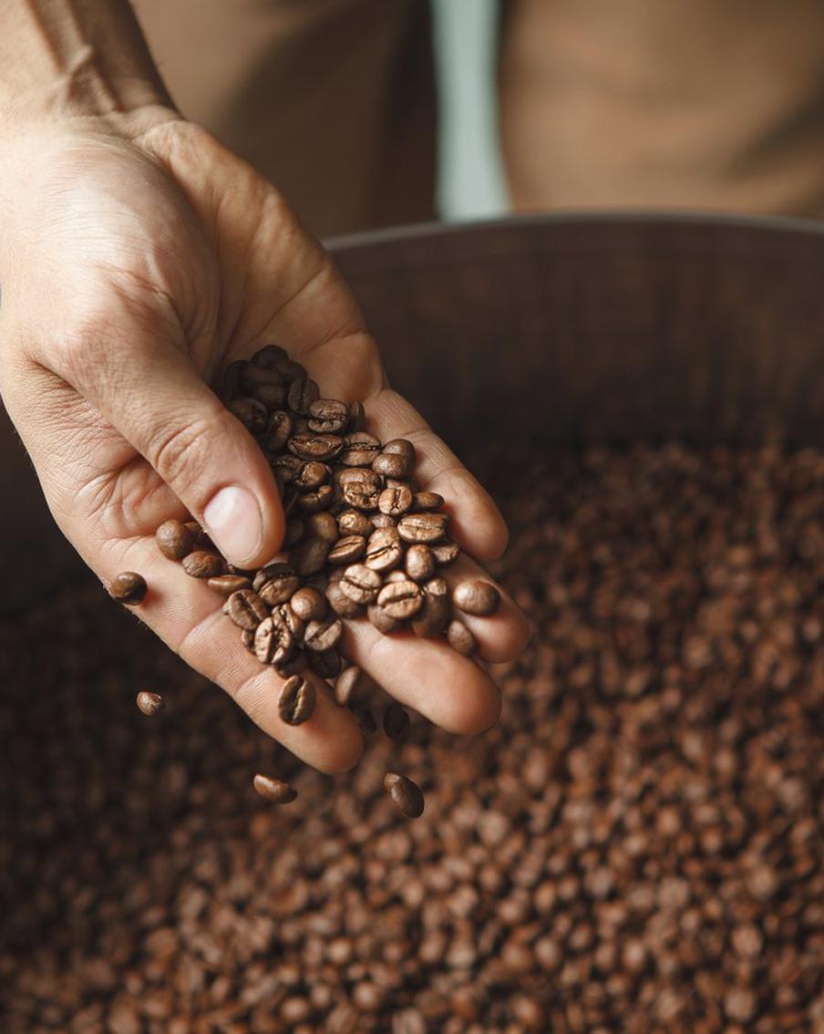 Стали известны причины исторического максимума цен на арабику