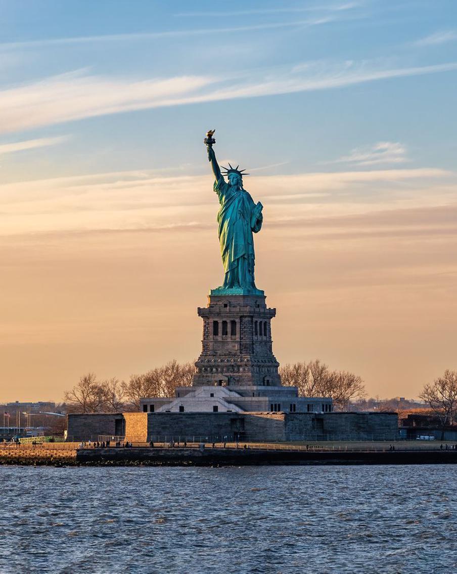 В Нью-Йорке пёс Саймон обошёл соперников на выборах и стал почётным мэром-псом