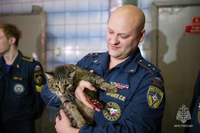 Талисман пожарных Москвы кот Толик МЧС станет обладателем формы