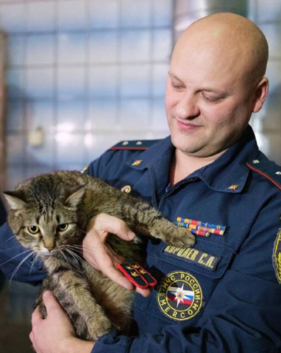Талисман пожарных Москвы кот Толик МЧС станет обладателем формы