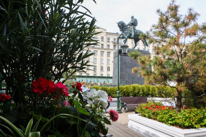 Россиянам предсказали скорый приход тёплой весны. За прогноз отвечал обитатель Тульского экзотариума