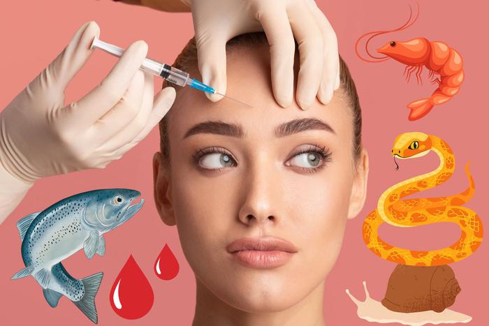 Самые безумные процедуры омоложения: от вампирского лифтинга до пчелиных укусов
