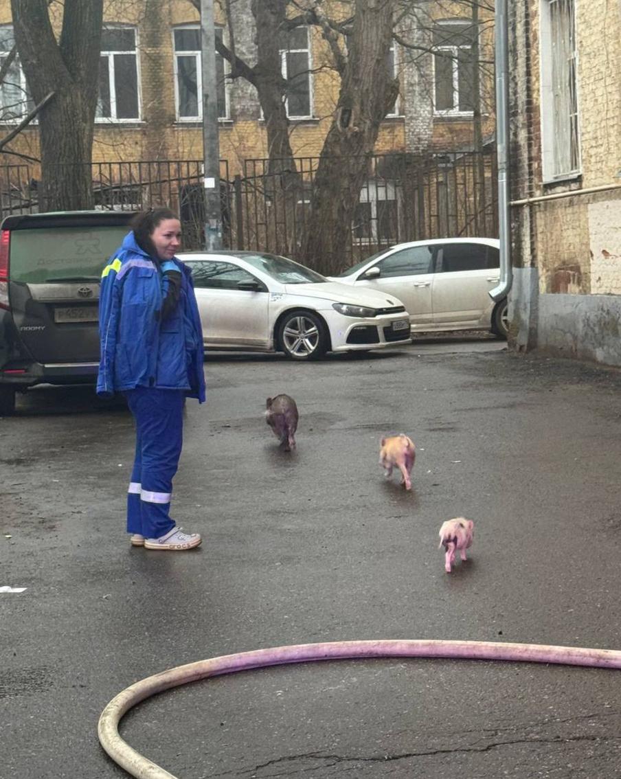 Спасатели и пожарные наверняка нечасто видят подобных пострадавших.
