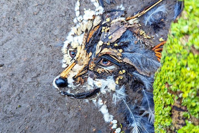 Художница рисует портреты из всего, что находит в лесу – успокаивает нервную систему