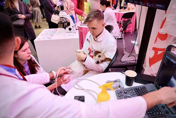 Чем заняться в столице в День российской науки: лечим животных, прогнозируем погоду и изучаем динозавров