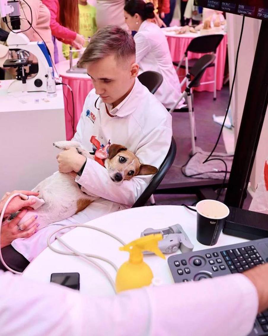 Чем заняться в столице в День российской науки: лечим животных, прогнозируем погоду и изучаем динозавров