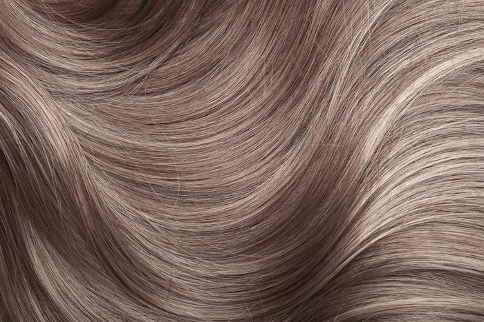 Шотландские учёные совершили прорыв в изучении здоровья древних людей