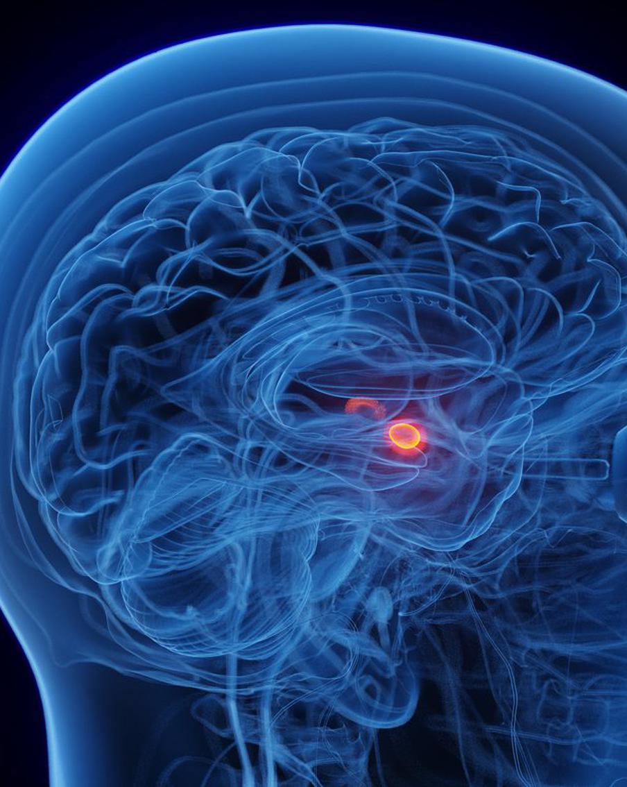 Навязчивые мысли, апатия и тревожность: учёные открыли неинвазивный способ справиться с депрессией