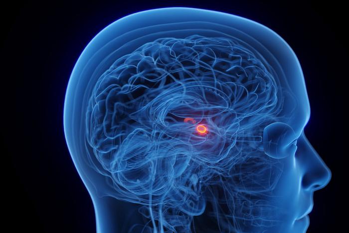 Навязчивые мысли, апатия и тревожность: учёные открыли неинвазивный способ справиться с депрессией