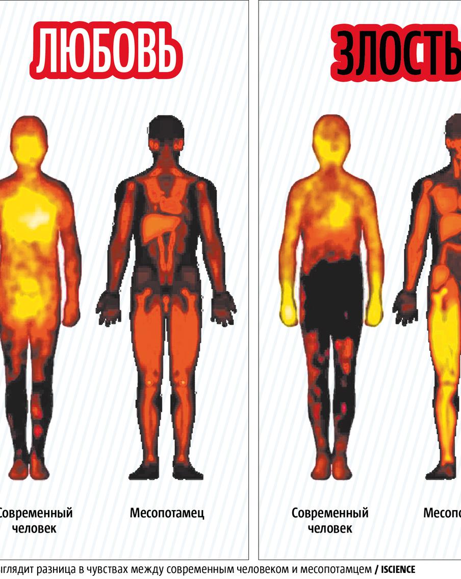 Стыдиться коленями и сострадать маткой: как выражали чувства древние месопотамцы
