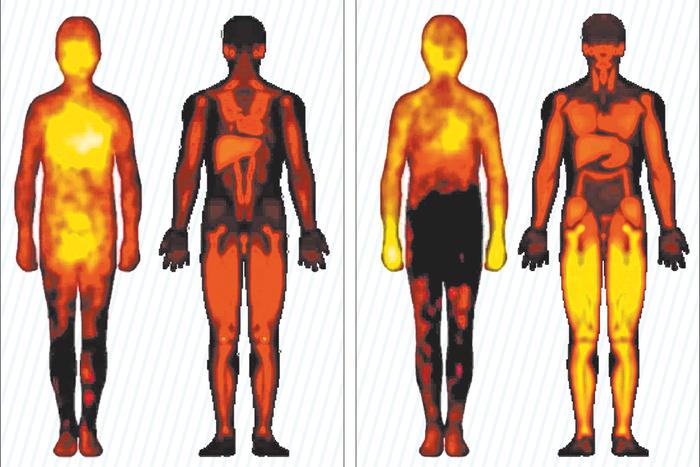 Стыдиться коленями и сострадать маткой: как выражали чувства древние месопотамцы