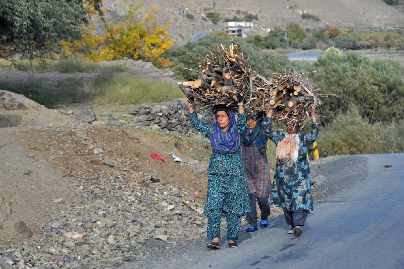 Будни Бандшера. Для афганских женщин хворост считался лучшей "валютой". Его обменивали на всевозможные предметы быта, к примеру, на глиняные горшки. Собирать дрова считалось делом хлопотным.