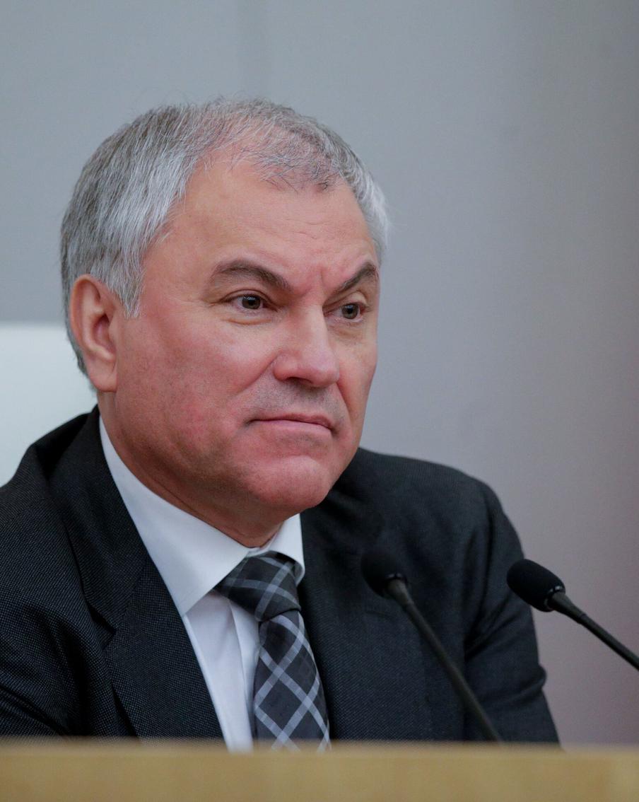 Володин связал применение в ЕС порошка из личинок в продуктах с санкциями