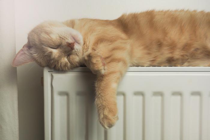 В столице повысили мощность систем отопления из-за скорого прихода в Москву заморозков