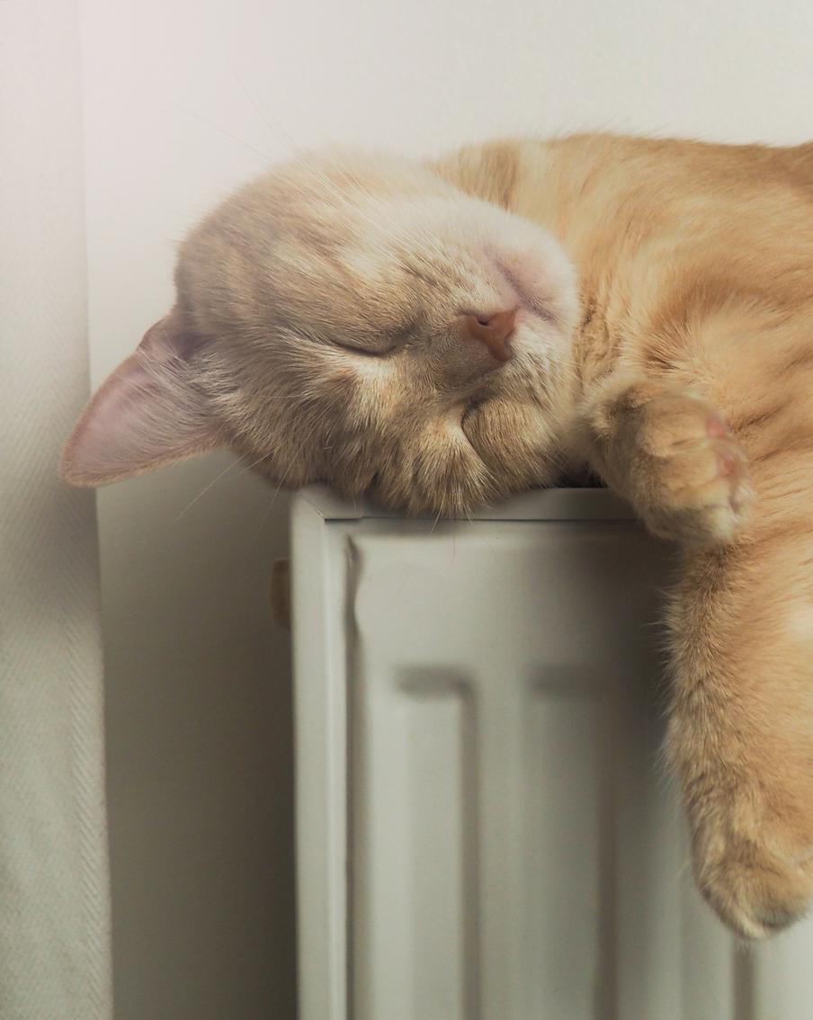 В столице повысили мощность систем отопления из-за скорого прихода в Москву заморозков