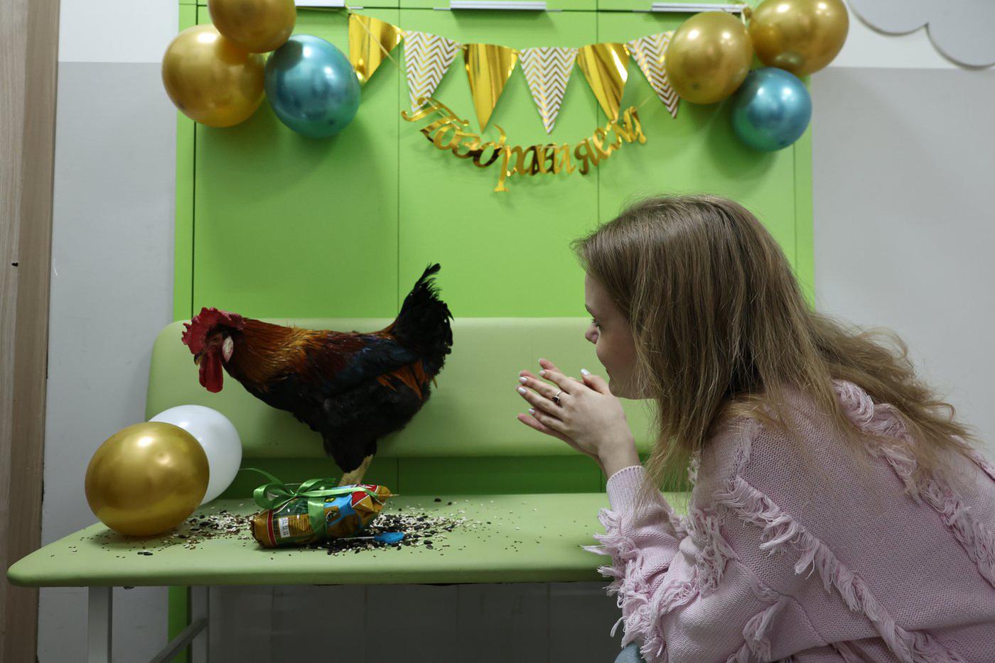 Упаковку овса в подарок от репортёра Metro Петруччо не оценил – был сыт.