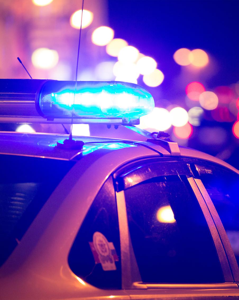 "Мой дом — моя крепость": как ЛДПР предлагает изменить закон о самообороне