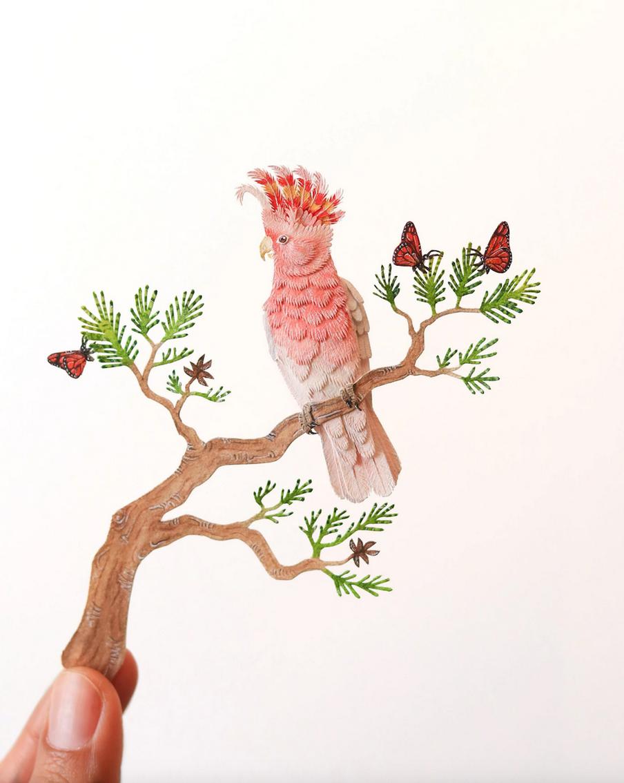 Каждый попугай изображён в привычной ему среде обитания.