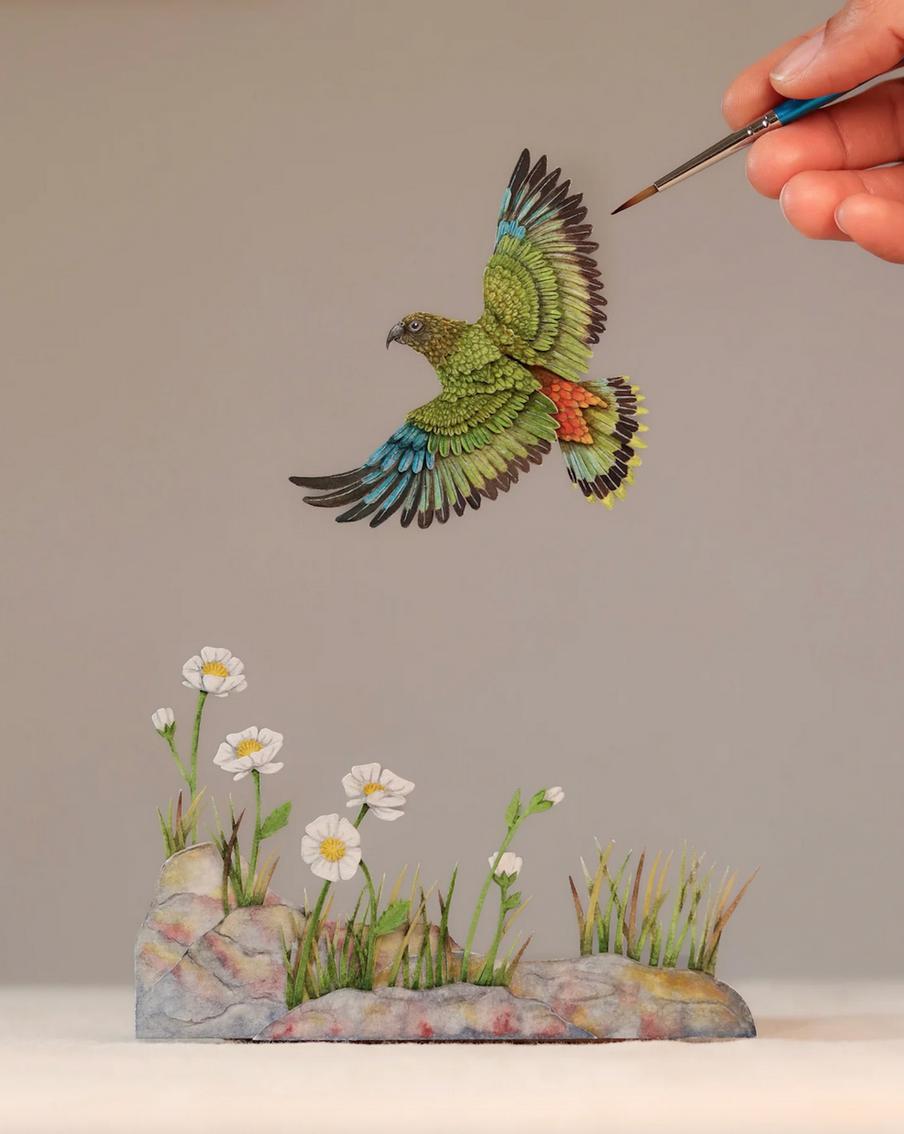 Каждый попугай изображён в привычной ему среде обитания.