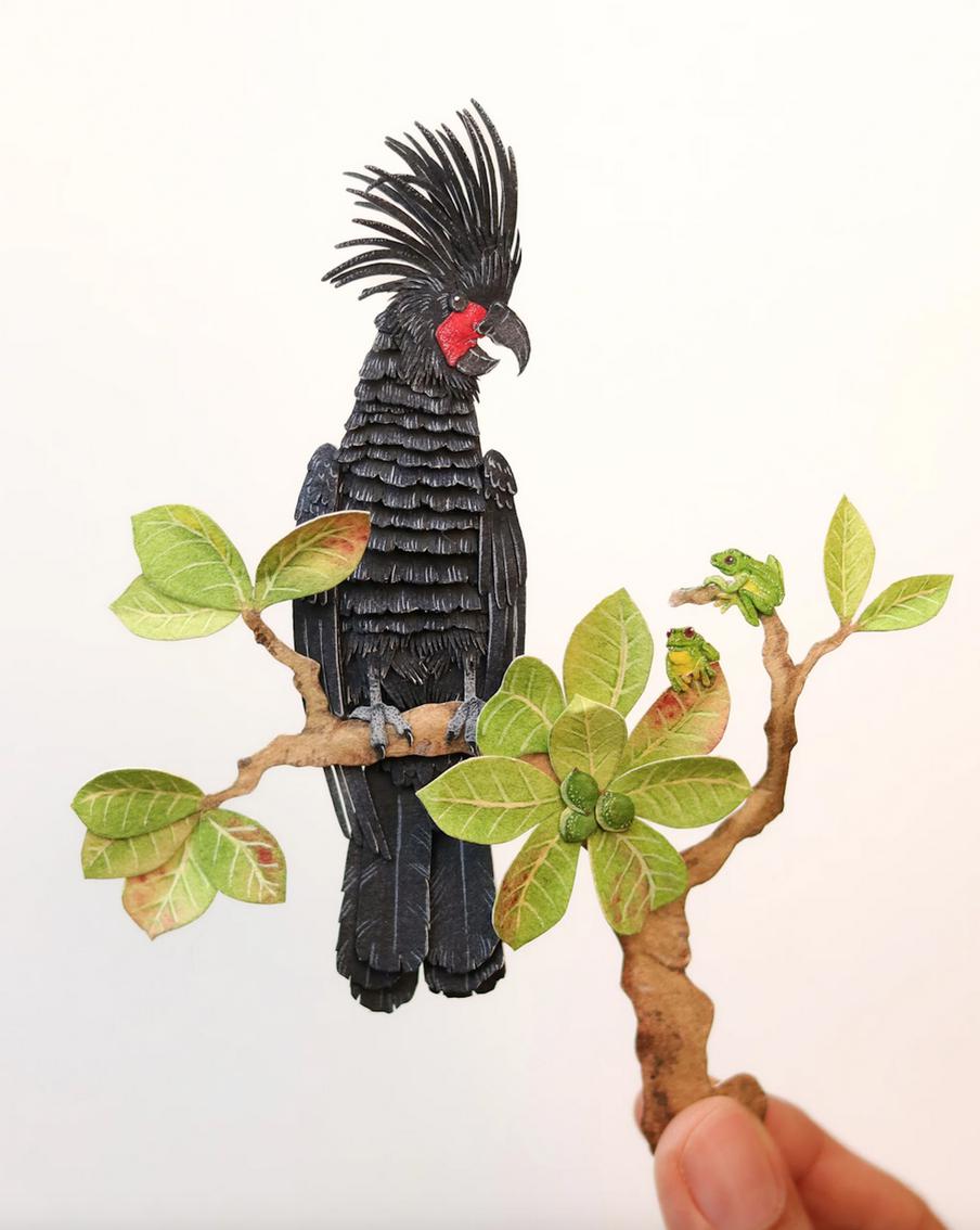 Каждый попугай изображён в привычной ему среде обитания.