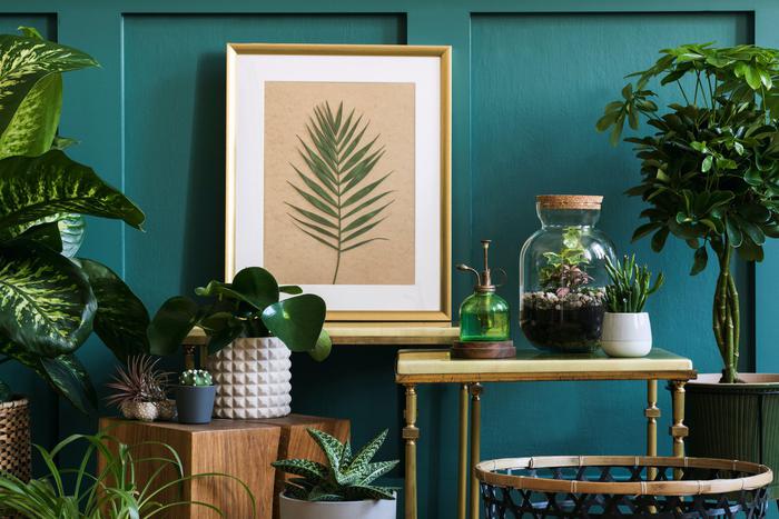 Как с помощью растений создать стильный и дорогой интерьер