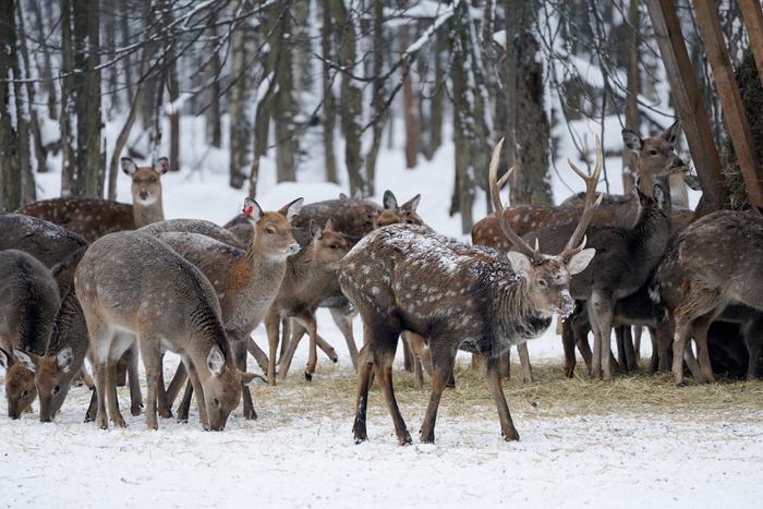 Эксперт: Инвентаризация экосистем усилит охрану природы в Москве