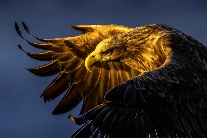 Нетронутые красоты нашей страны поместили в объектив: в Третьяковке открылся фестиваль природы "Первозданная Россия"