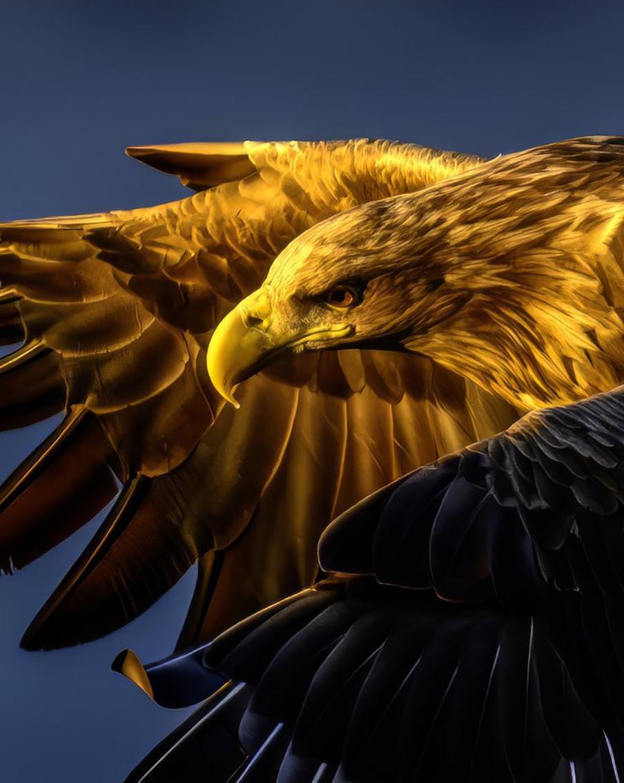 Нетронутые красоты нашей страны поместили в объектив: в Третьяковке открылся фестиваль природы "Первозданная Россия"