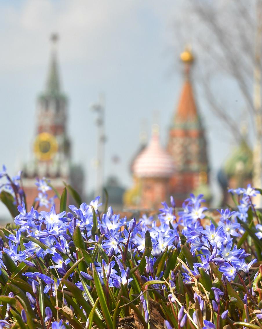 Москвичам пообещали аномально тёплый март, который придёт на смену холодному февралю