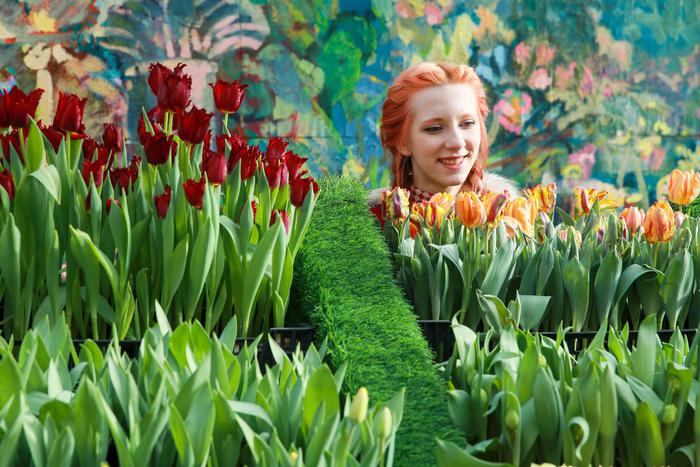 В Ботсаде МГУ вовсю зацвели тюльпаны, нарциссы и сакура