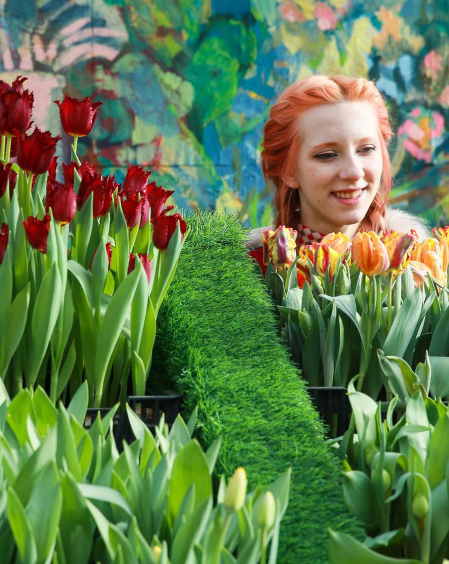 В Ботсаде МГУ вовсю зацвели тюльпаны, нарциссы и сакура