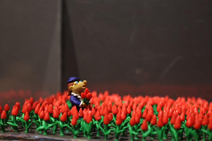 Пластилиновый романтик проложил тропу к тюльпанам