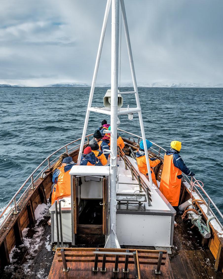 Рыболовы Исландии столкнулись с худшим сезоном вылова сельди