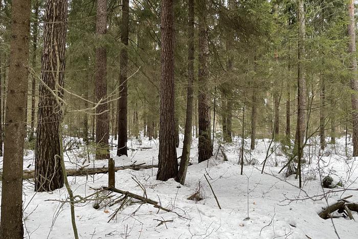 Юг России остаётся во власти холодов