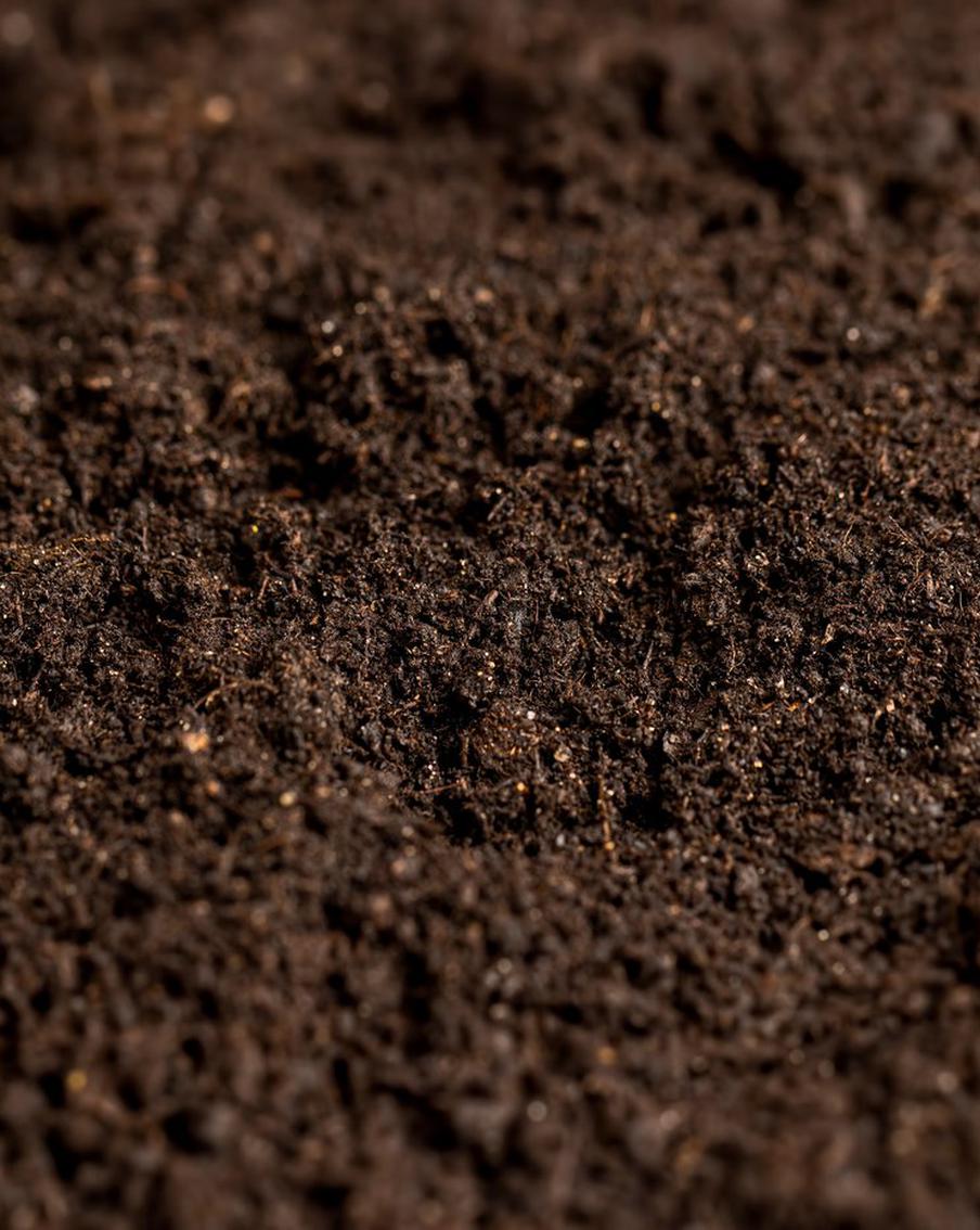 Жители Шатуры пожаловались на торф на тротуарах