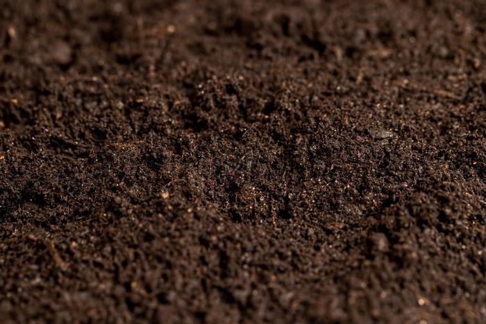 Жители Шатуры пожаловались на торф на тротуарах