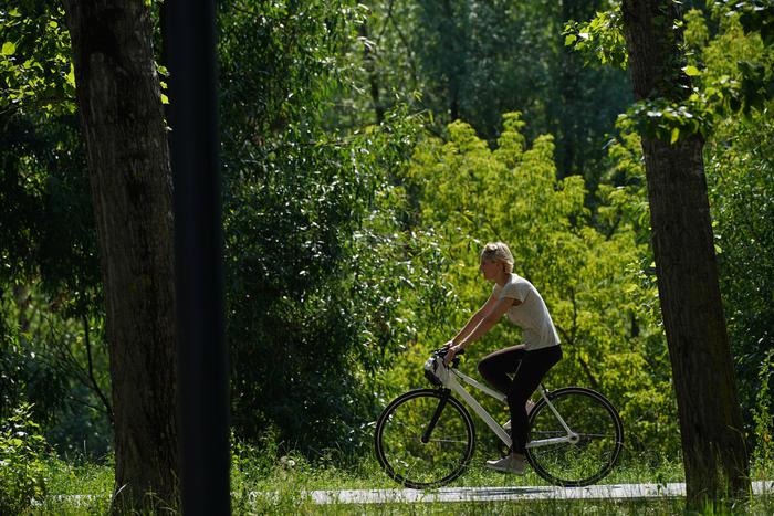 Штрафы за нарушения на зелёных территориях Москвы увеличены в 1,5 раза