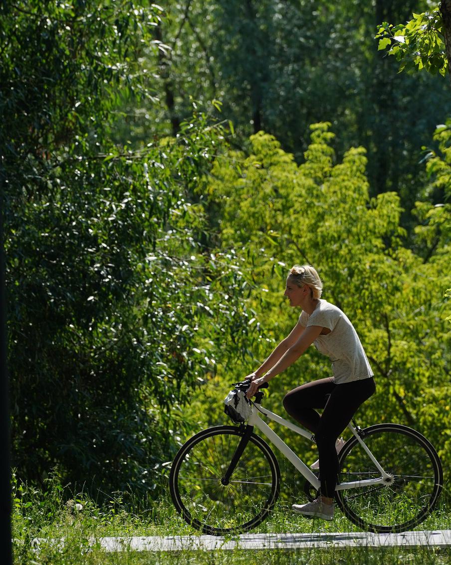 Штрафы за нарушения на зелёных территориях Москвы увеличены в 1,5 раза