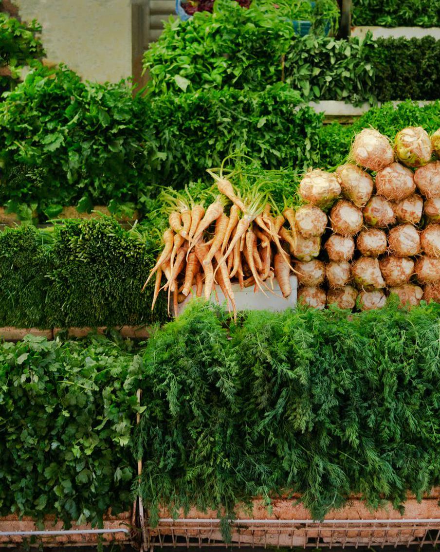 Почему весна – самое время привести организм в порядок