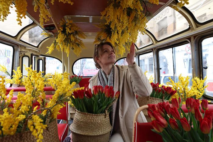 В ретроавтобусе на Патриарших прудах распускаются тюльпаны, а с потолка свисает мимоза