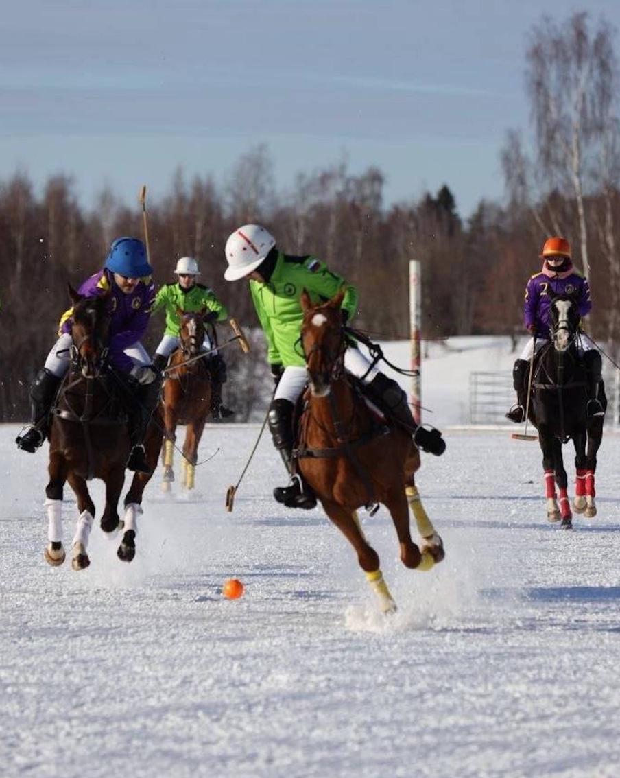 На какие виды спорта сходить в Москве: зимнее поло и футбол