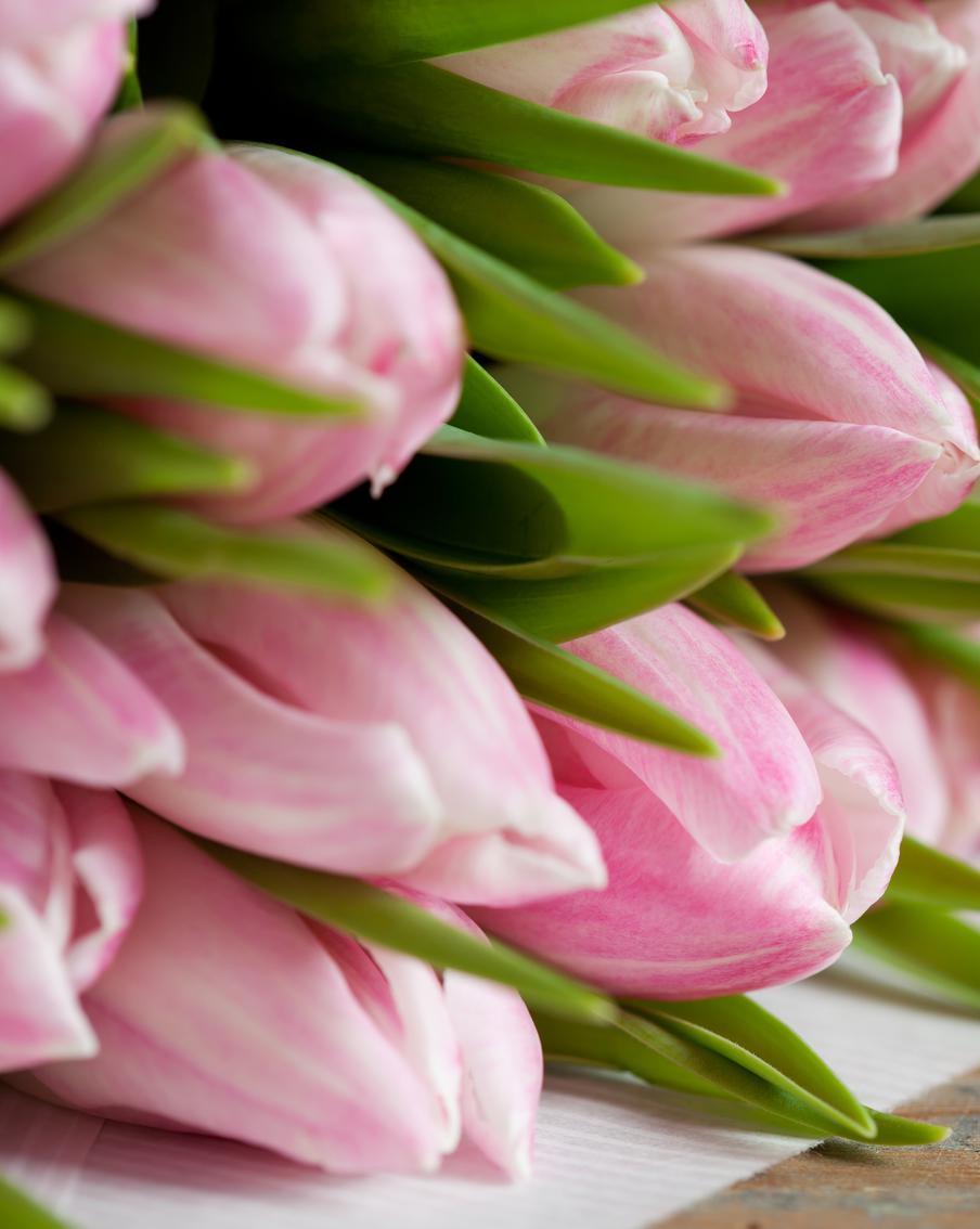 Розы, гвоздики, эустомы: какие цветы подорожали сильнее к 8 Марта 2025-го