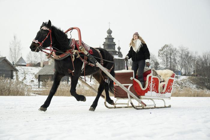 Житель Нижнего Новгорода затащил коня на пятый этаж, чтобы спасти от холода
